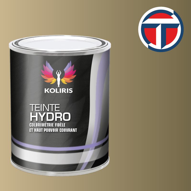 Peinture utilitaire - camion hydro Talbot