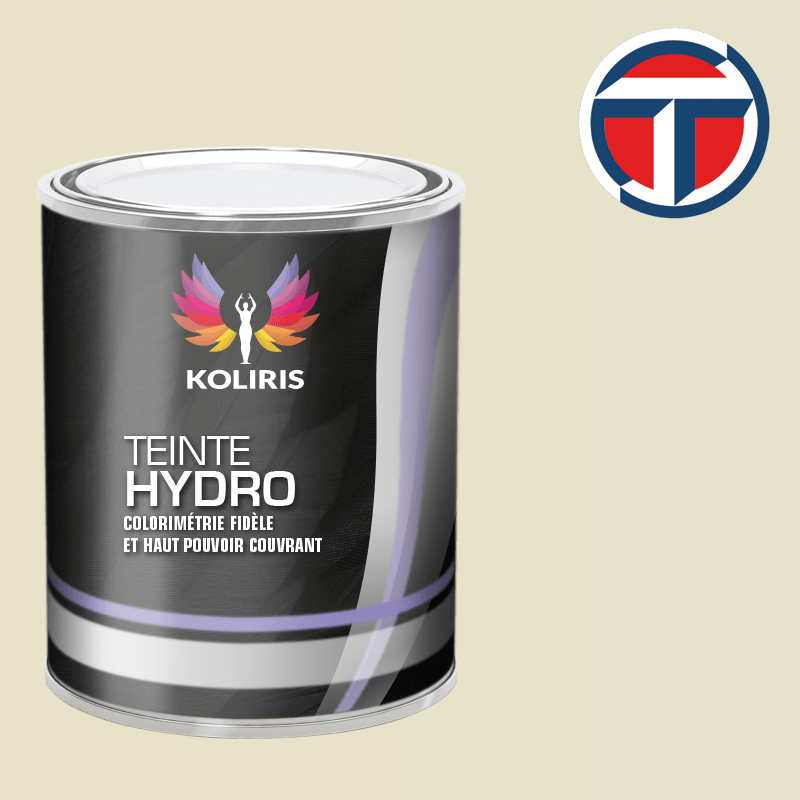 Peinture utilitaire - camion hydro Talbot