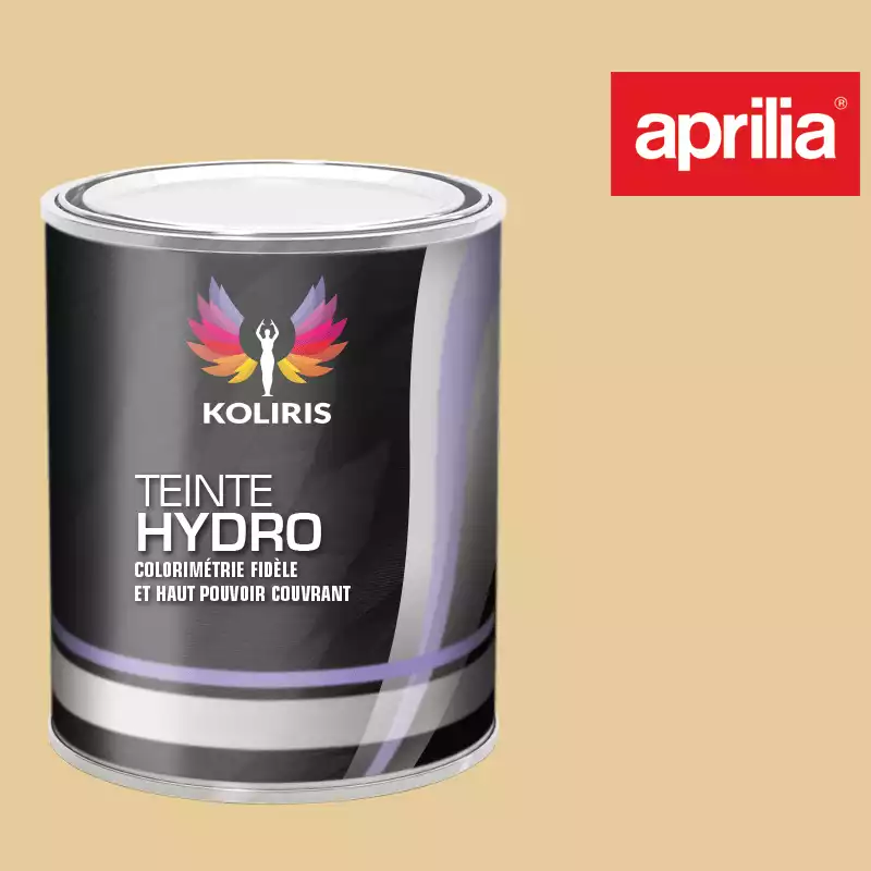 Peinture moto hydro Aprilia Moto