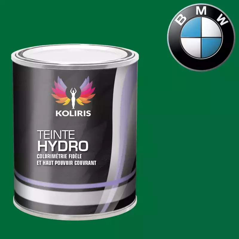 Peinture moto hydro Bmw Moto