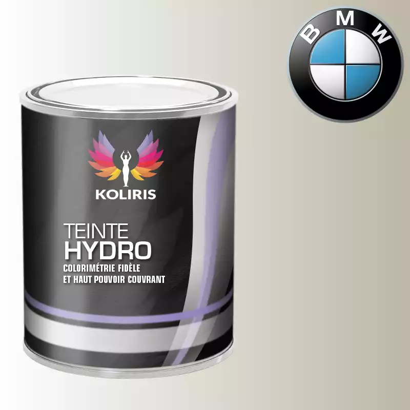 Peinture moto hydro Bmw Moto