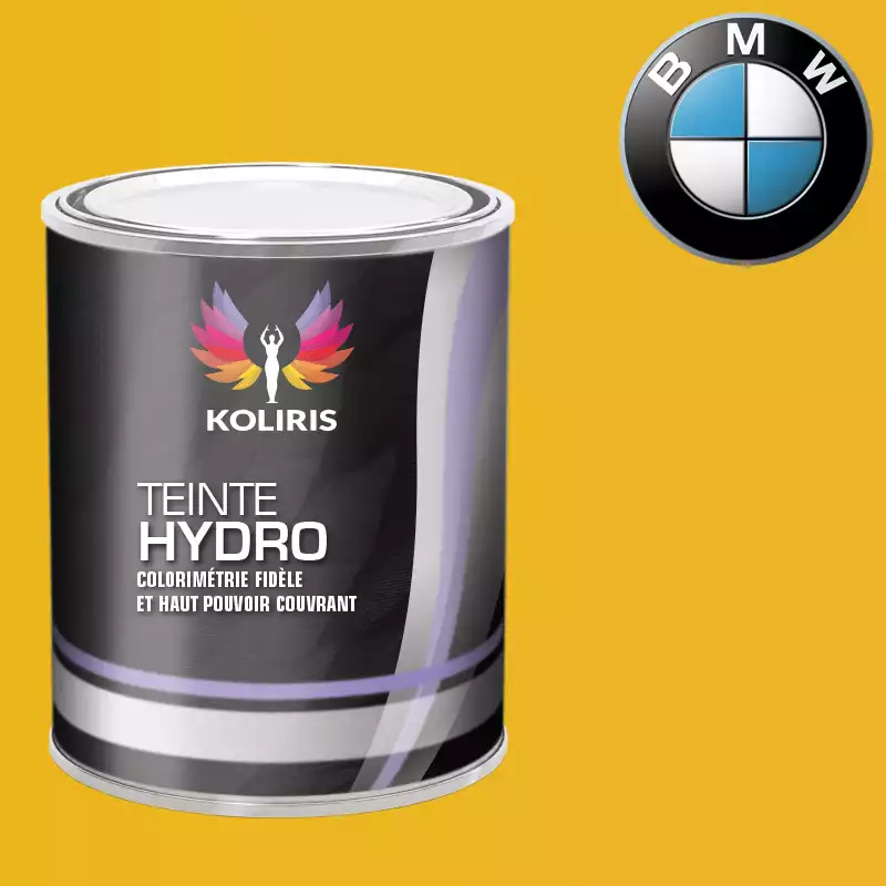 Peinture moto hydro Bmw Moto