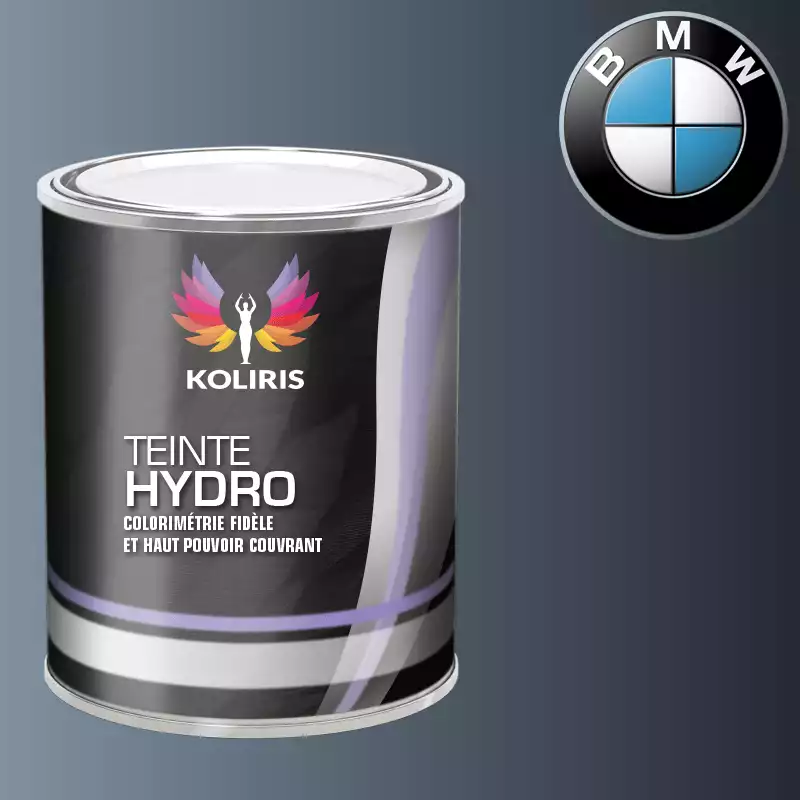 Peinture moto hydro Bmw Moto