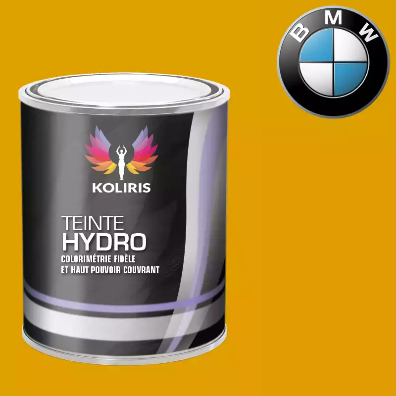 Peinture moto hydro Bmw Moto