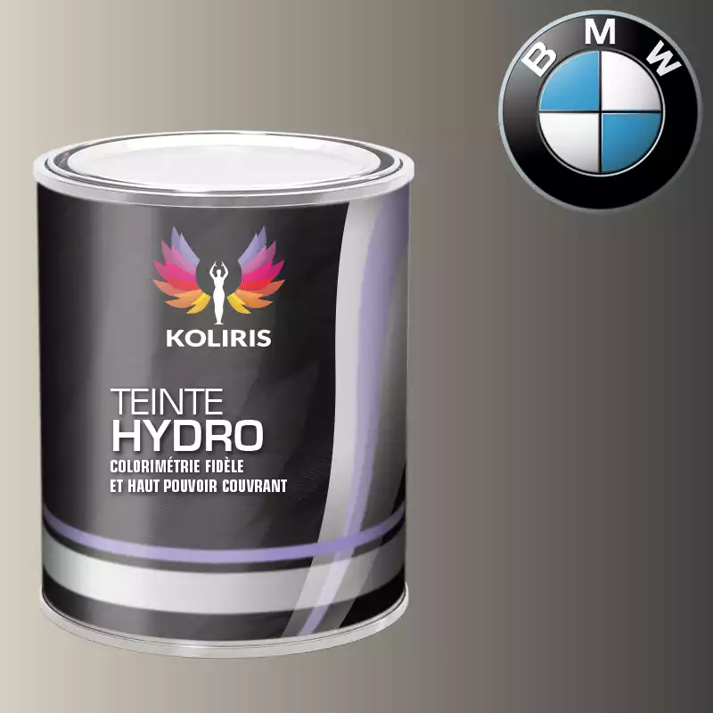 Peinture moto hydro Bmw Moto