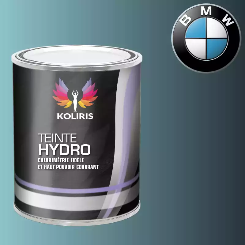 Peinture moto hydro Bmw Moto