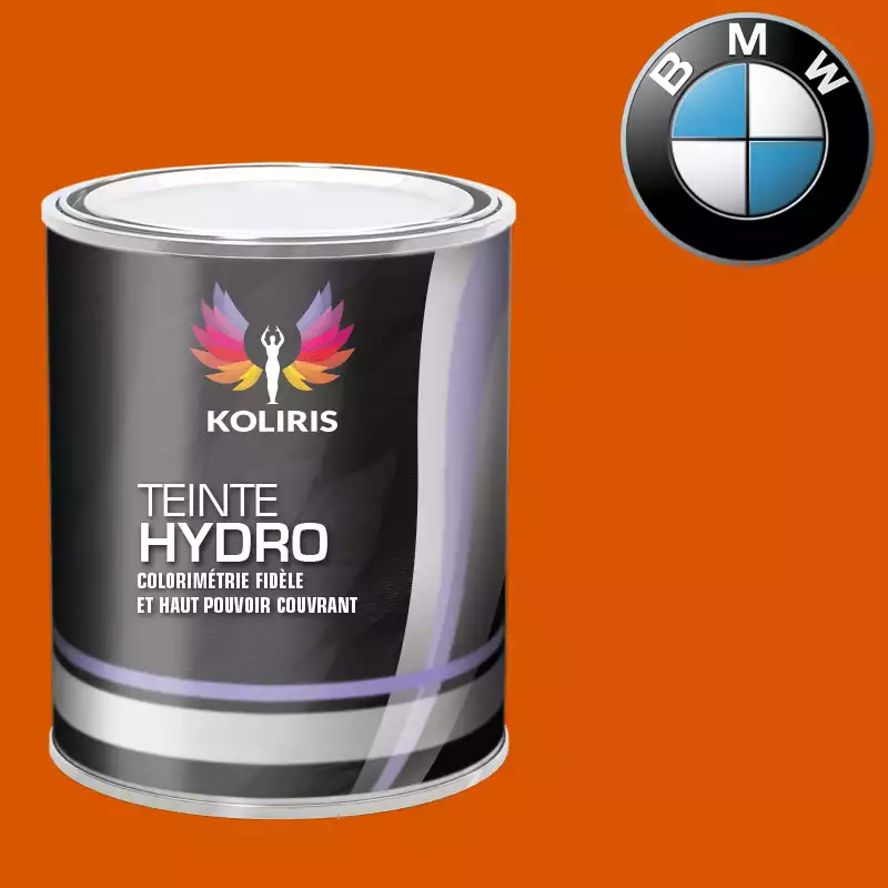 Peinture moto hydro Bmw Moto