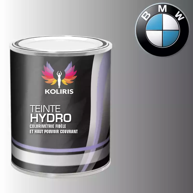 Peinture moto hydro Bmw Moto