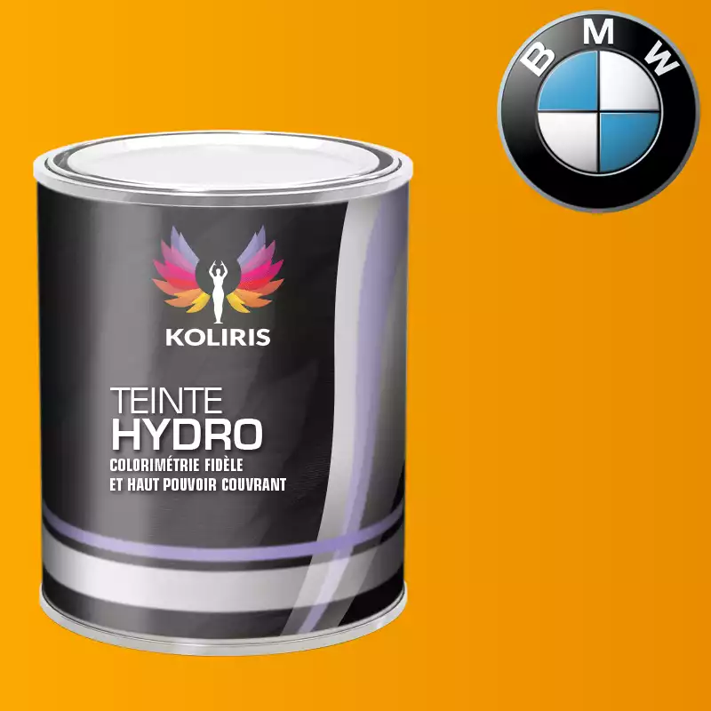 Peinture moto hydro Bmw Moto