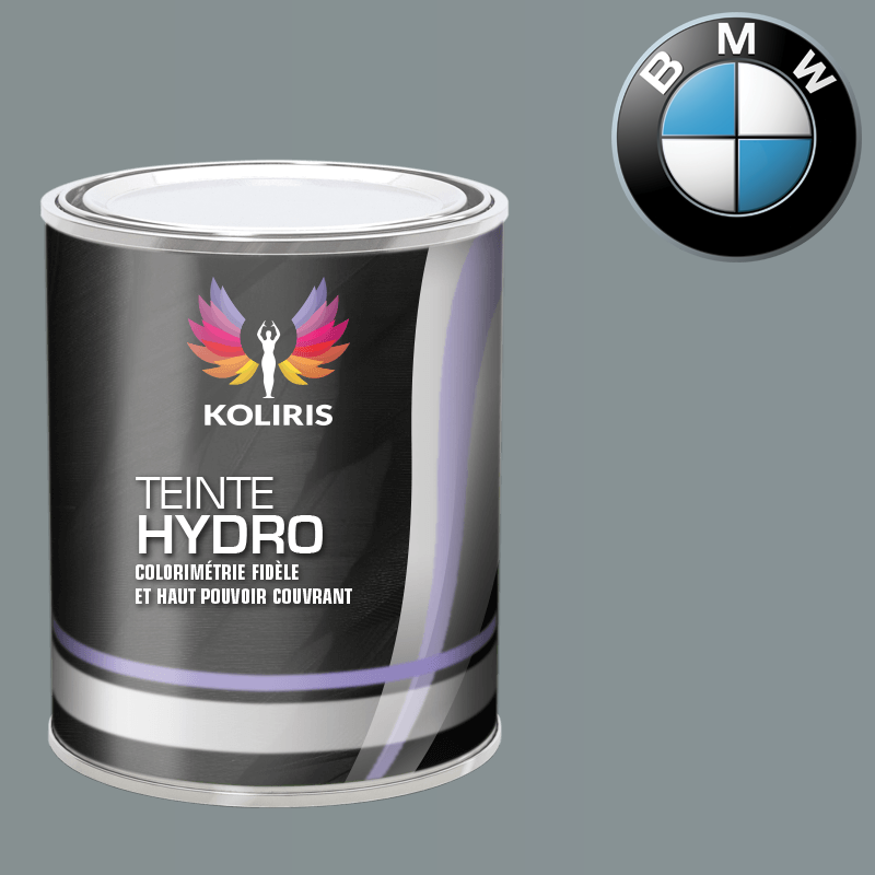 Peinture moto hydro Bmw Moto