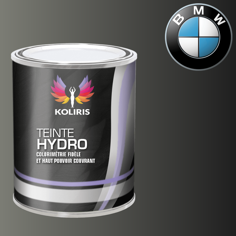 Peinture moto hydro Bmw Moto