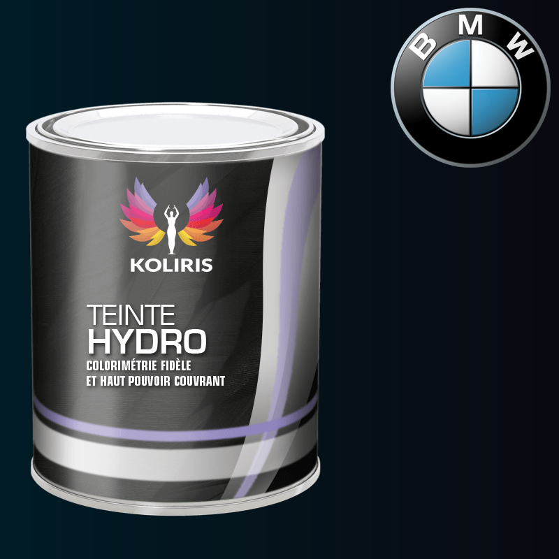 Peinture moto hydro Bmw Moto