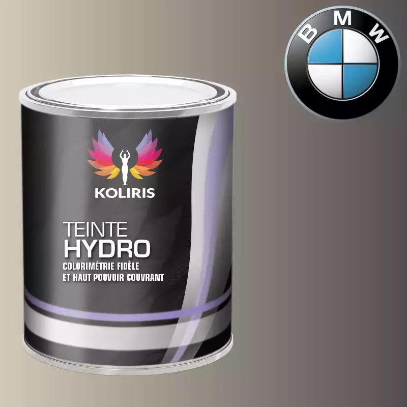 Peinture moto hydro Bmw Moto