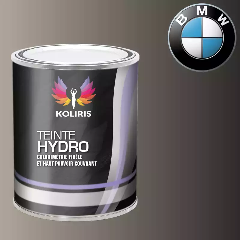 Peinture moto hydro Bmw Moto