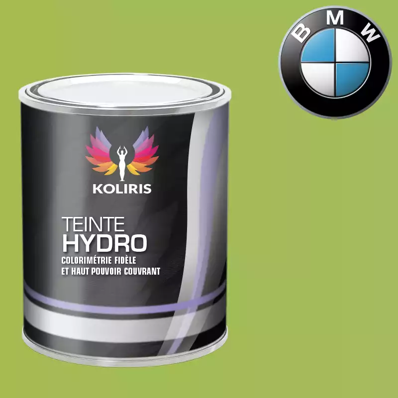 Peinture moto hydro Bmw Moto