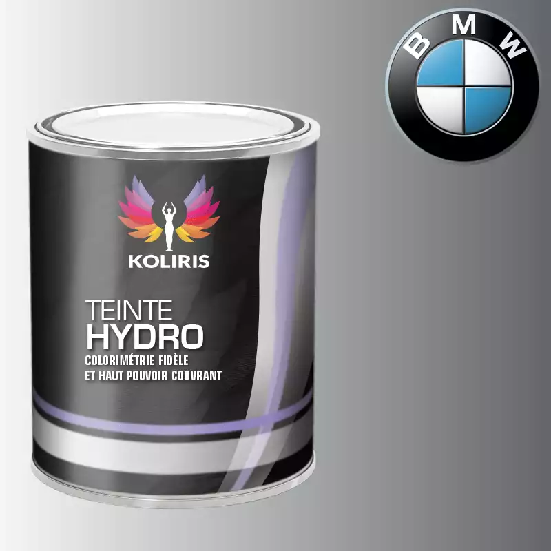 Peinture moto hydro Bmw Moto