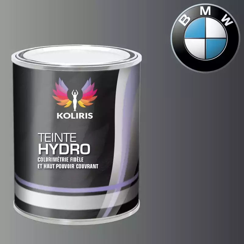 Peinture moto hydro Bmw Moto