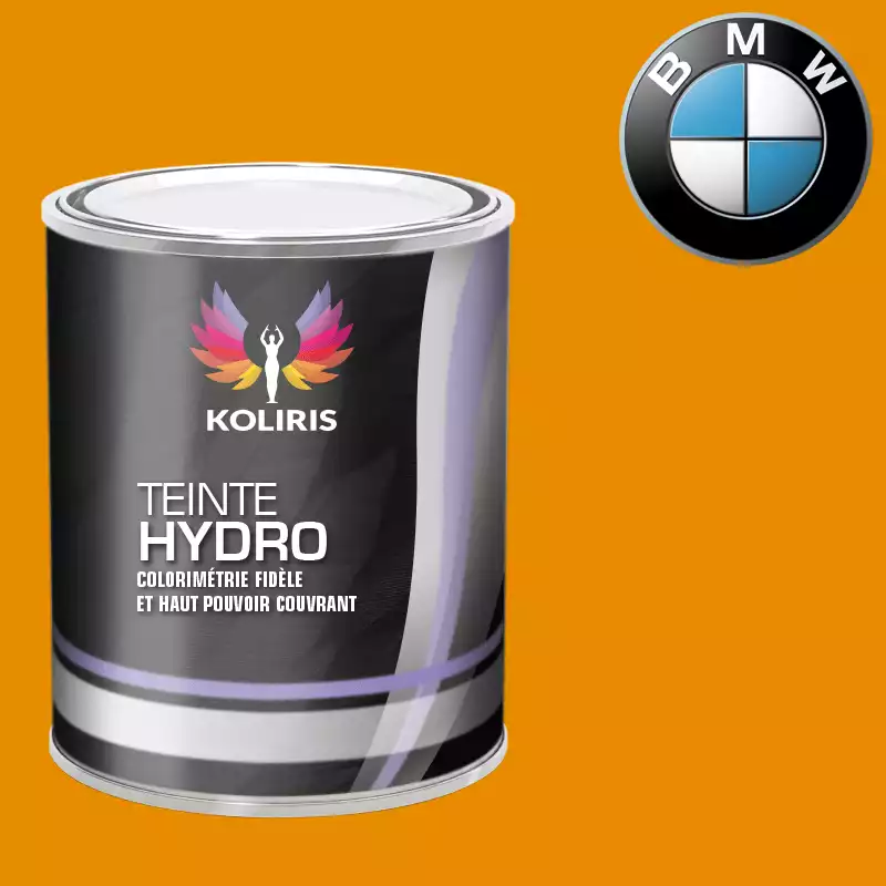 Peinture moto hydro Bmw Moto