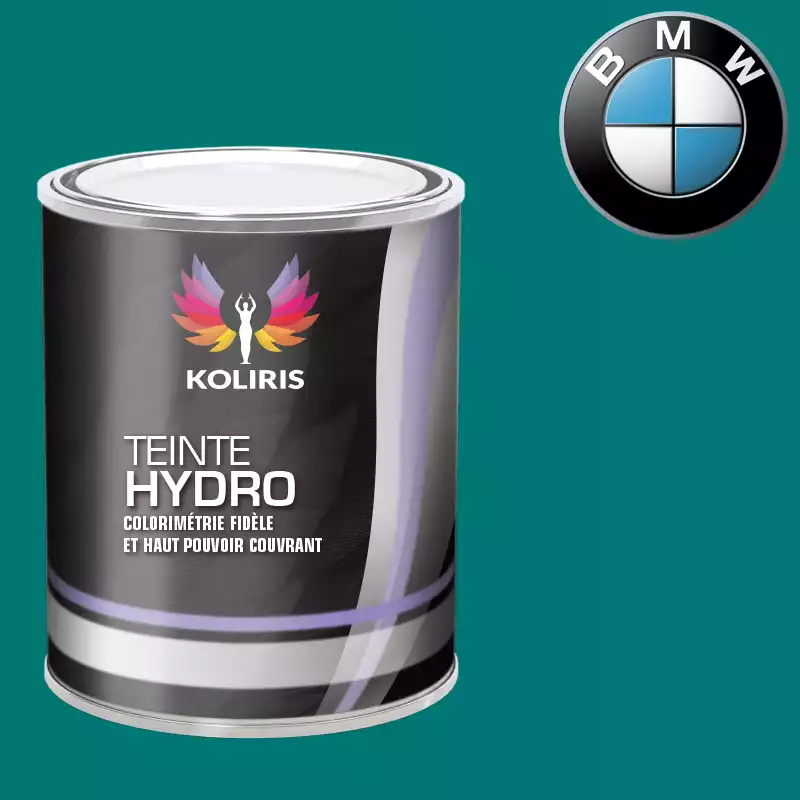 Peinture moto hydro Bmw Moto