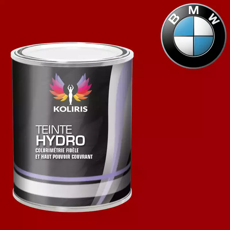 Peinture moto hydro Bmw Moto