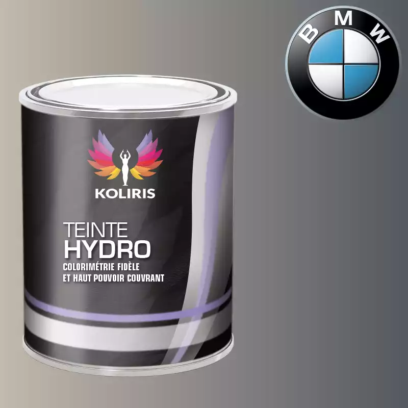 Peinture moto hydro Bmw Moto