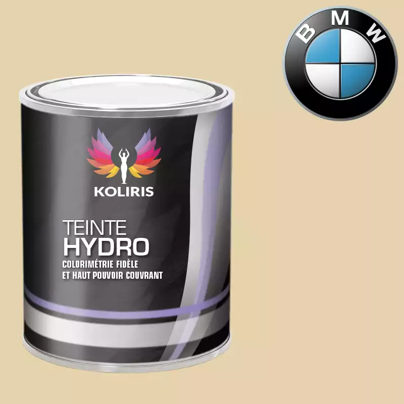 Peinture moto hydro Bmw Moto