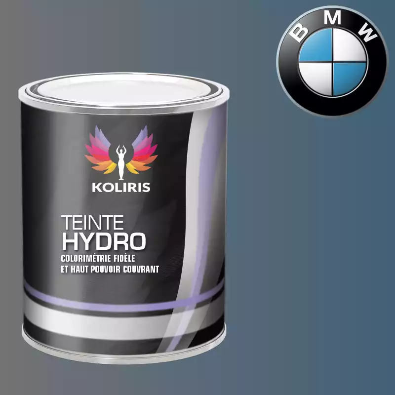 Peinture moto hydro Bmw Moto