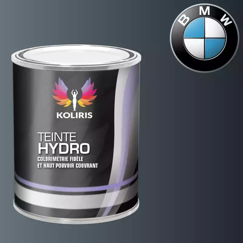 Peinture moto hydro Bmw Moto