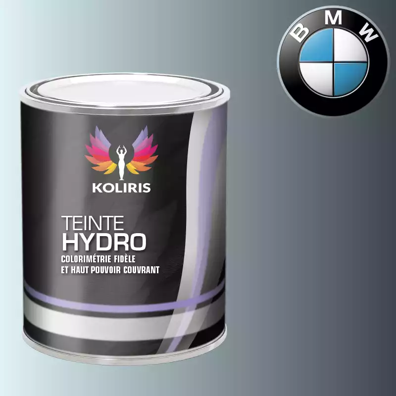 Peinture moto hydro Bmw Moto