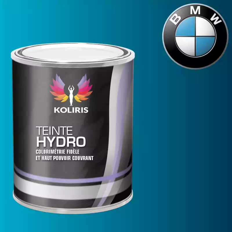 Peinture moto hydro Bmw Moto