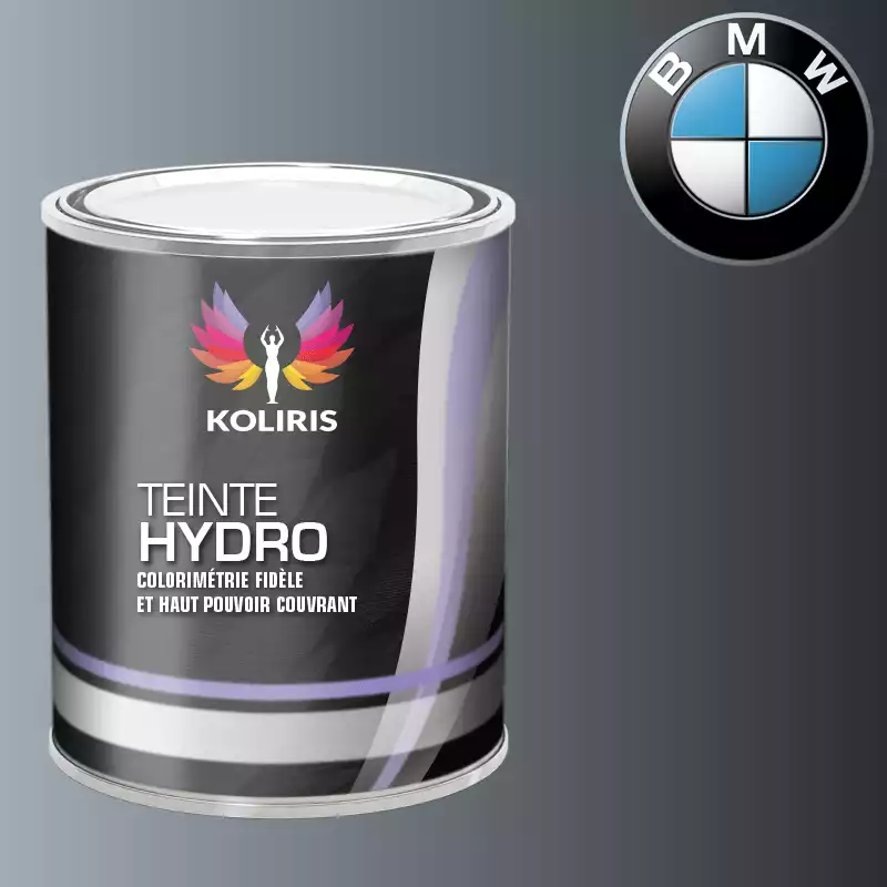 Peinture moto hydro Bmw Moto