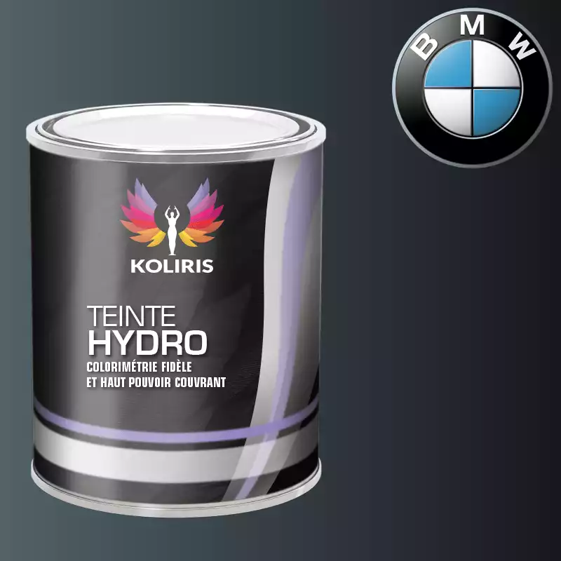 Peinture moto hydro Bmw Moto