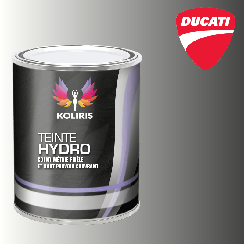 Peinture moto hydro Ducati Moto