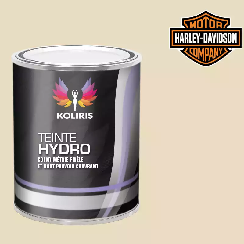 Peinture moto hydro Harley Davidson Moto