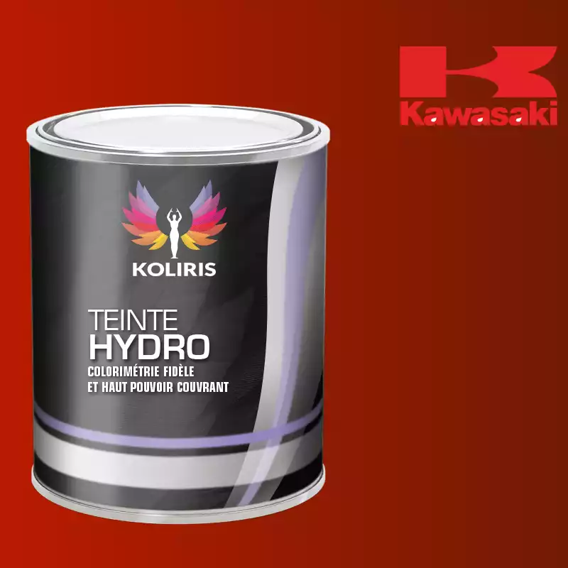 Peinture moto hydro Kawasaki Moto