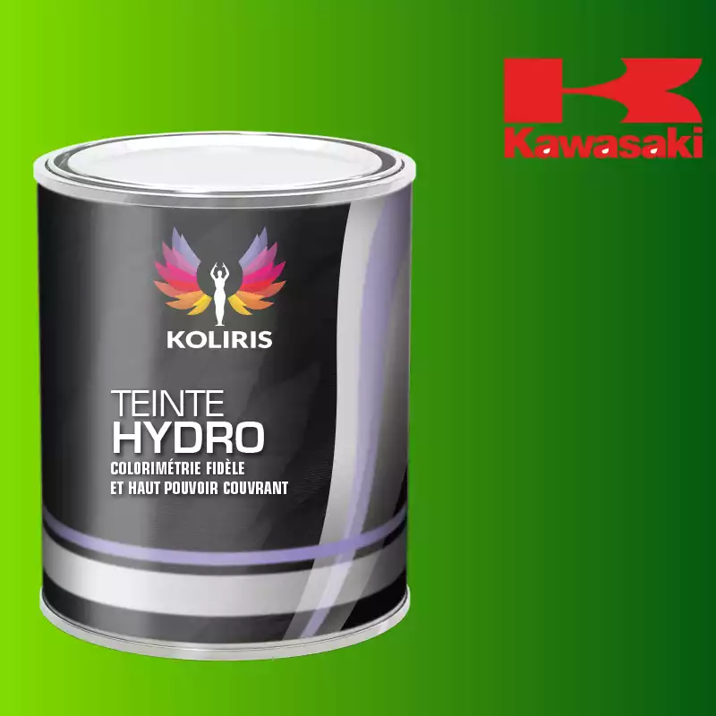 Peinture moto hydro Kawasaki Moto