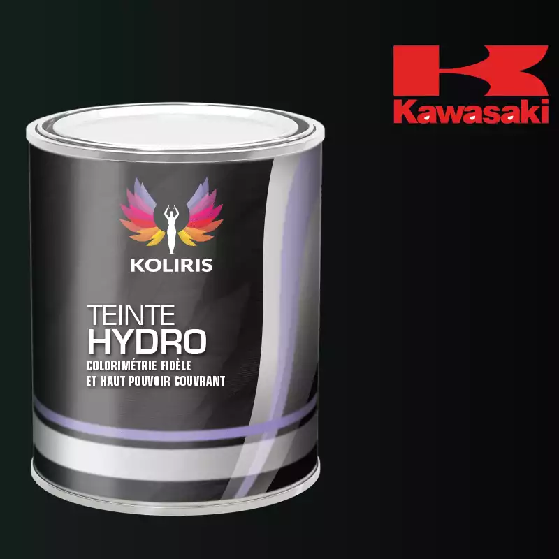 Peinture moto hydro Kawasaki Moto