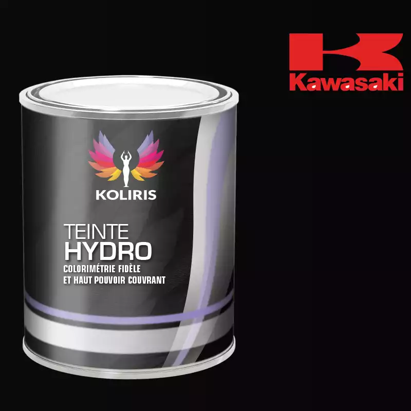 Peinture moto hydro Kawasaki Moto