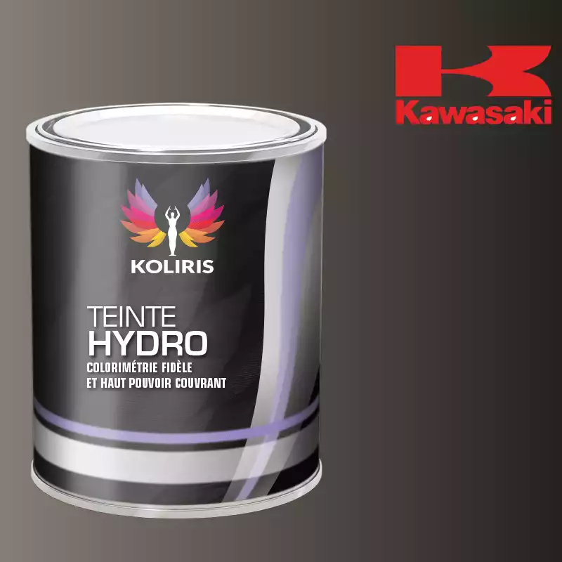 Peinture moto hydro Kawasaki Moto