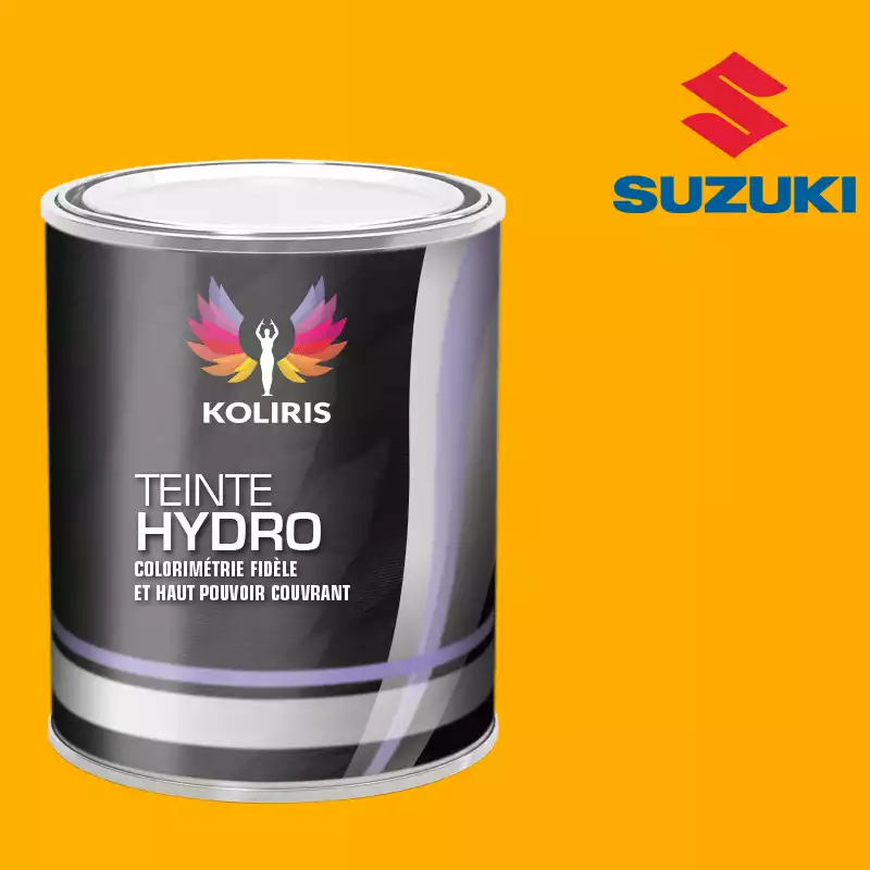 Peinture moto hydro Suzuki Moto