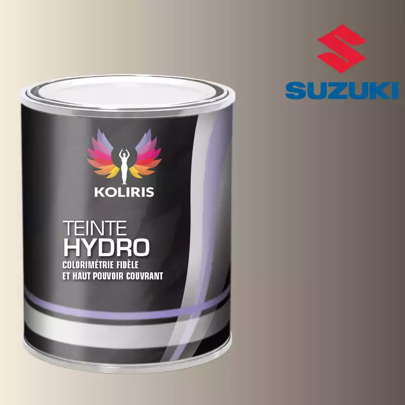 Peinture moto hydro Suzuki Moto