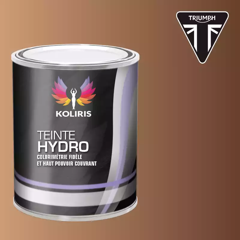 Peinture moto hydro Triumph Moto