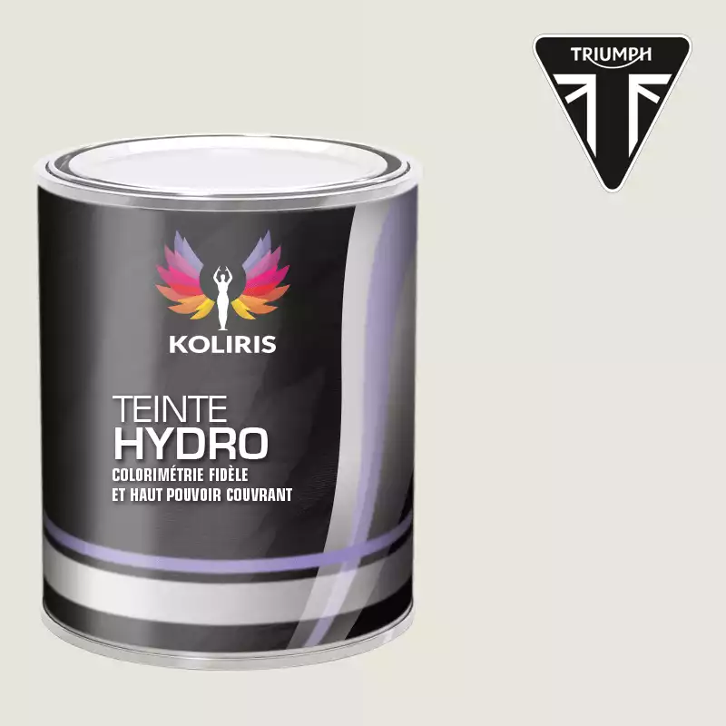 Peinture moto hydro Triumph Moto