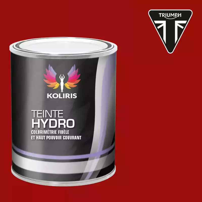 Peinture moto hydro Triumph Moto