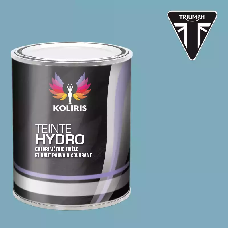 Peinture moto hydro Triumph Moto