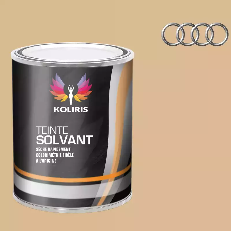 Peinture voiture solvant Audi