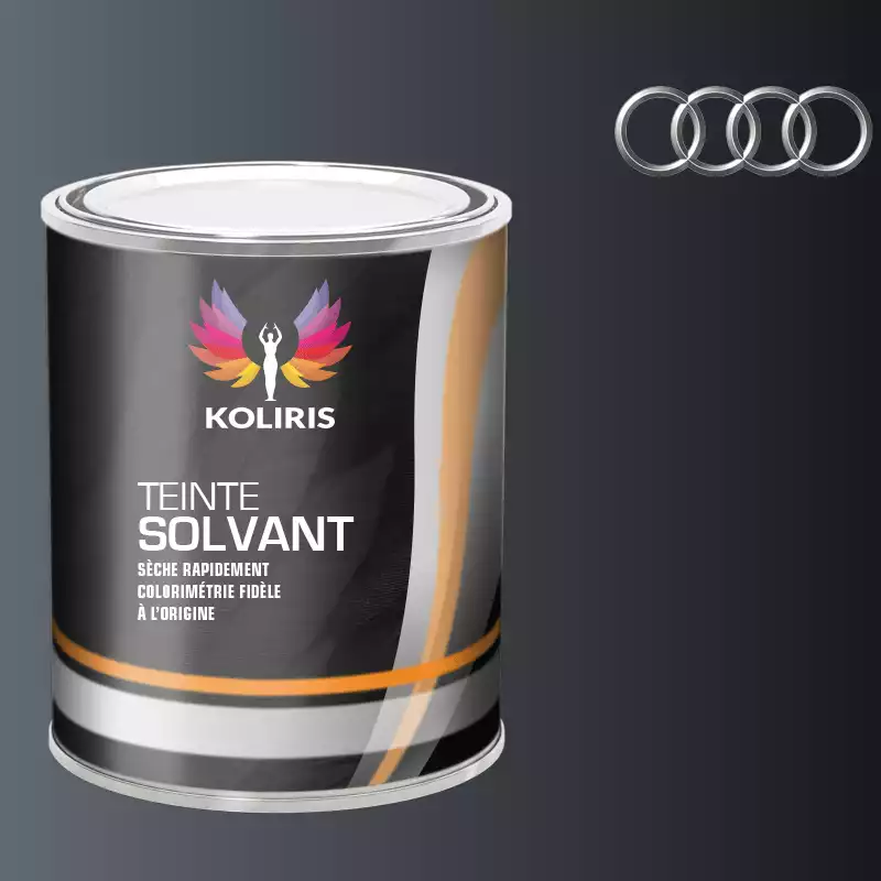 Peinture voiture solvant Audi