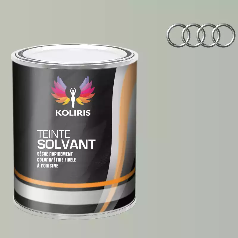 Peinture voiture solvant Audi