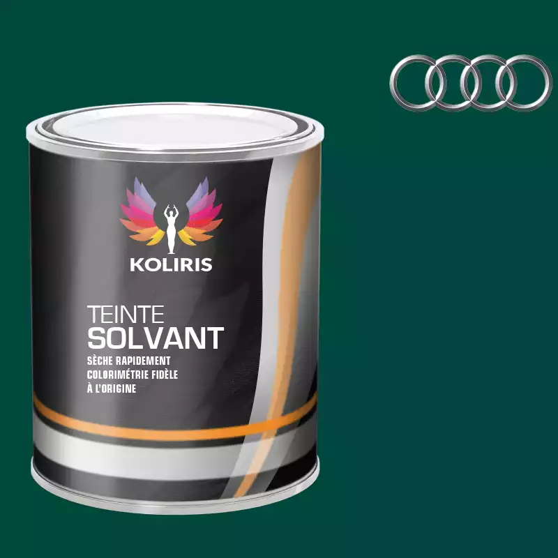 Peinture voiture solvant Audi