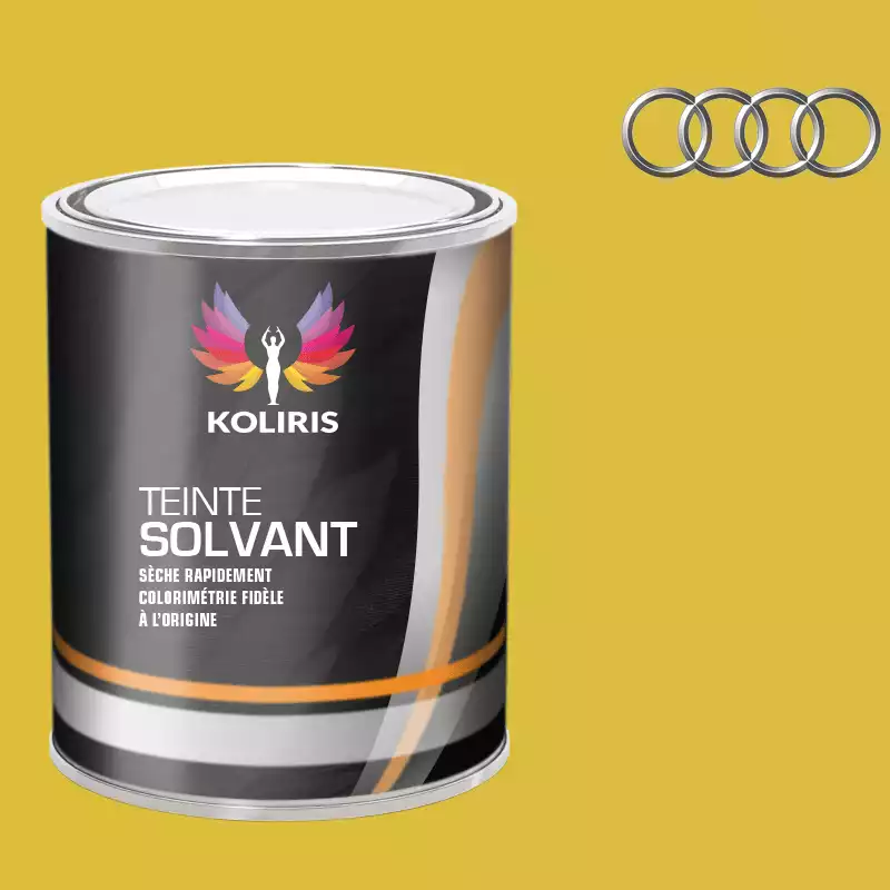 Peinture voiture solvant Audi